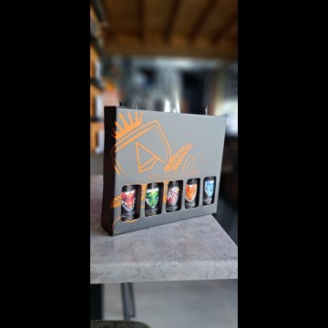 Artemis Geschenkset 5 Bieren